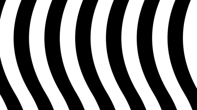 Vertical Black and White Wavy Stripes Seamless Loop Background
