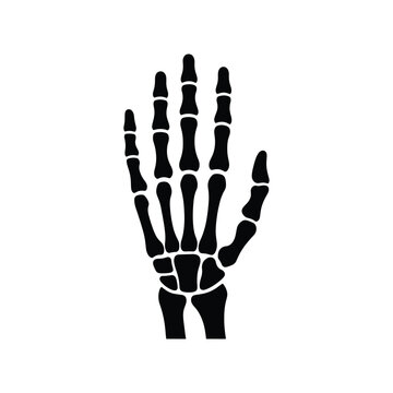 Hand bones icon for skeletal anatomy