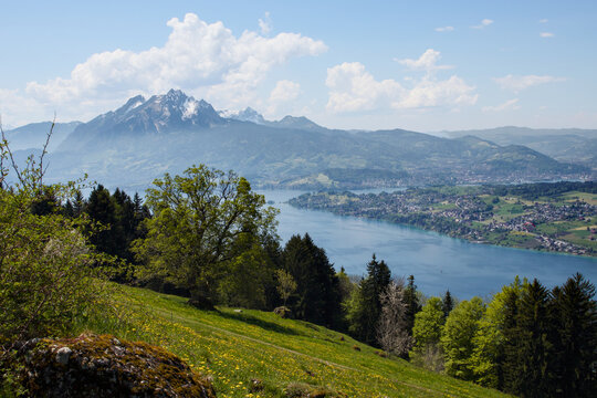 Swiss countryside with Lake Lucerne and mount Pilatus from Seebodenalp (Rigi), Switzerland