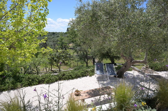 giardino di una villa di campagna in puglia con macchia meditteranea
