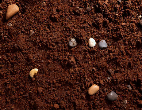 자연-토양-흙-황토-돌-조약돌-자갈-스톤-몽돌-농사-텃밭-가드닝-흙더미-비옥한 땅-탑뷰