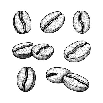 Detailed illustration of coffee beans in a monochrome style, perfect for design.