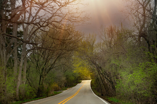 Road in the spring fog