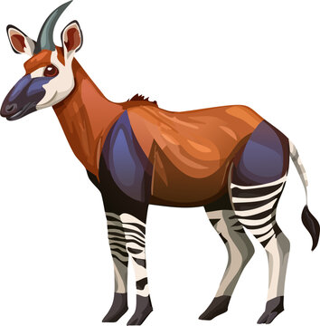 Exotic Okapi with Distinctive Zebra Striped Legs and Velvety Coat Detail
