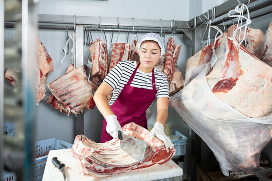 Professional young female butcher preparing meat products for sale in store, using large cleaver to cut slab of veal ribs in cold storage room against background of pieces of meat hanging on hooks..