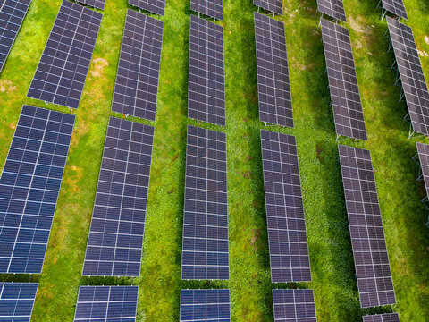 Large solar panel farm located in an open field during daylight hours showcasing rows of solar panels on grassy land