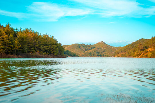 Serene lake surrounded by pine forest and rolling hills under a bright blue sky