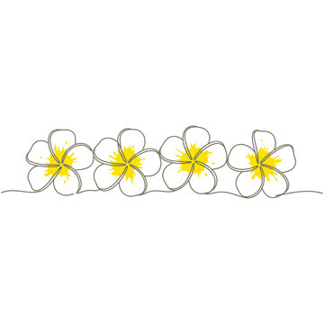 line drawing plumeria flowers with yellow centers on white background