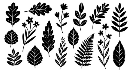 Fototapeta premium botanical illustrations featuring a hand-drawn black and white collection of various leaves and nature elements on a clean background perfect for graphic design