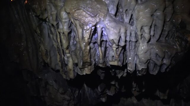 Close up macro shows moss growing on moist limestone layers along damp cave wall surface. Fine textures reveal wet rock details natural mineral structure and organic growth in dark underground space.