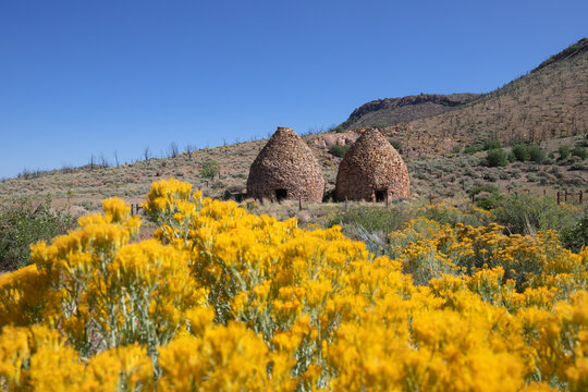 Panaca Charcoal Kilns with yellow wildflowers in the foreground, Nevada