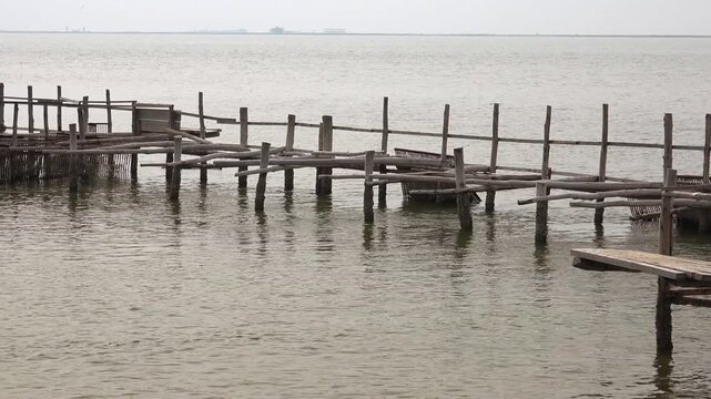 Traditional wooden fish traps in coastal lagoon channel showing historic fishing method. Ancient timber structures guide through shallow waters of calm lake wetlands beside stakes.