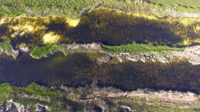 Aerial view of dark bog lake waters with dense mossy aquatic plants in closed wetland basin. Black marsh pool shows organic decay stagnant freshwater and isolated ecosystem textures.