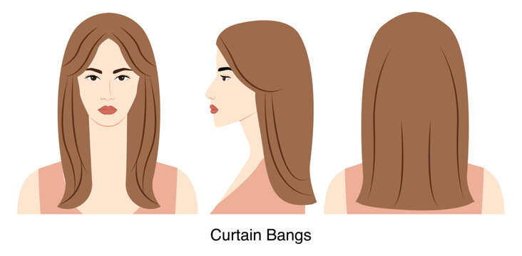 Curtain Bangs hairstyle vector front back profile views, long hair shape parted fringe composition for beauty salon, hairdresser reference, fashion illustration, hairstyle selection