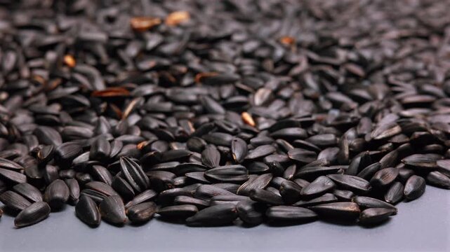 Low angle panning shot over pile of sunflower seeds