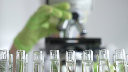 Close up of test tubes with a scientist analyzing plant samples in test tubes with a microscope, conducting research in a laboratory. Medicine, healthcare and science concept © volha_r
