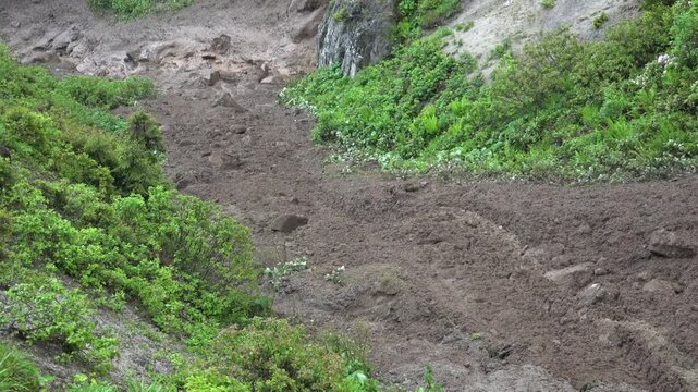 Real landslide mud flows rapidly down a valley creating natural disaster terrain. Rugged landscape, collapse, movement, and sediment emphasize hazard aftermath and habitat loss.