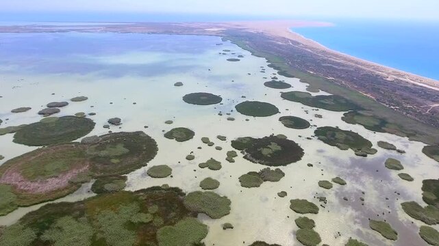 Aerial circular reed rings across shallow wetland lake in Turkey, striking summer patterns. Green and brown vegetation shapes, marsh habitat, organic design, calm aquatic surface, stock search.