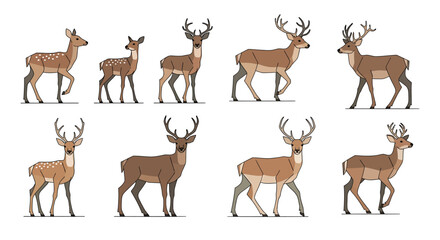 Fototapeta premium Deer, Buck, Stag, Antlers, Wildlife Icons, Vector Set of 8 Animals