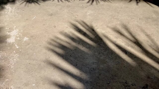 Light and shadow of leaf on floor natural background 