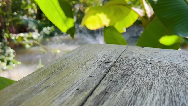 Empty wooden table with nature background, Product display concept