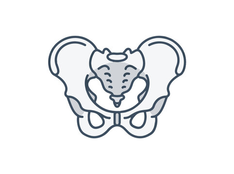 A simplified, stylized illustration of the human pelvis, shown from the front, highlighting the ilium, ischium, pubis, sacrum, and coccyx.