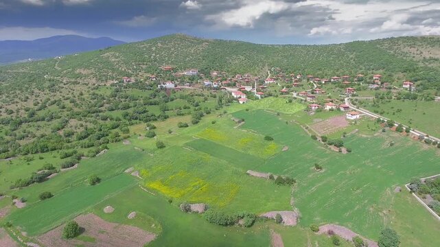 Aerial Balkan mountain village homes beside forest, bright green fields, cloudy horizon. Overhead panorama reveals rural hamlet rooftops near woodland farms, patchwork meadows, distant ridgeline.