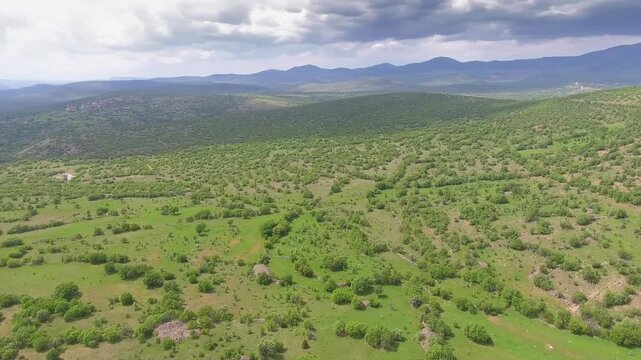 Aerial Balkan mountain village homes beside forest, bright green fields, cloudy horizon. Overhead panorama reveals rural hamlet rooftops near woodland farms, patchwork meadows, distant ridgeline.