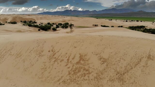 Aerial view of Mongolia Gobi Desert dunes at steppe edge, sweeping sand desert landscape. Overhead panorama captures arid sandhills bordering treeless grasslands, remote ranges and stormy sky.