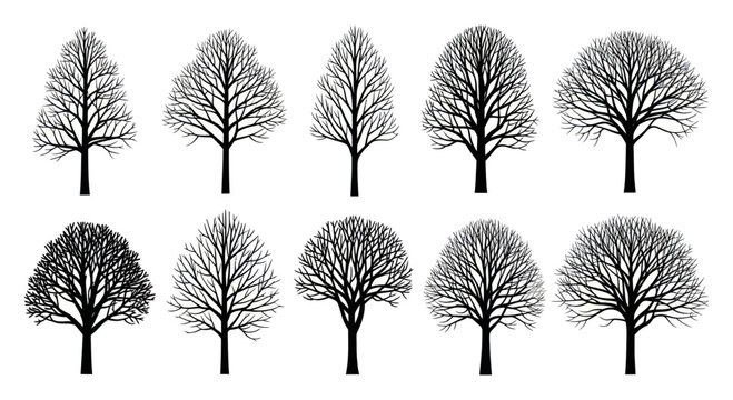 Set of ten bare winter trees without leaves, black silhouettes on white background.