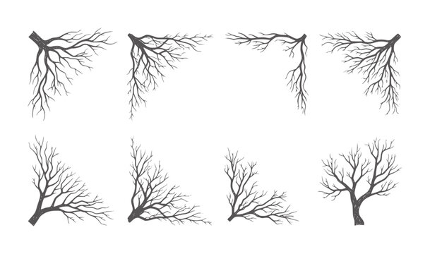 Monochrome bare tree and root system in varied orientations roots trees branches