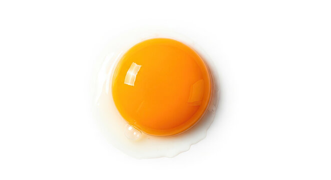 Fresh single egg yolk with a glossy surface vibrant orange color on a white background perfect for cooking and baking needs