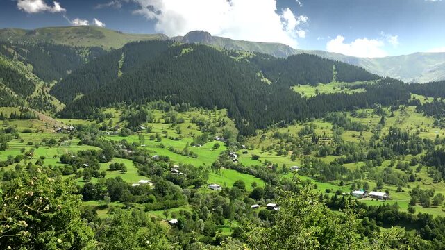 Alps countryside hamlet houses beside green forest and meadow, wide mountain view for travel. Swiss rural chalets near conifer woods, pasture fields, storybook homes in highland basin.
