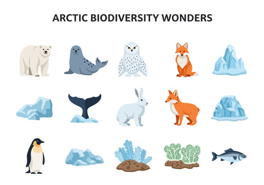 Arctic Biodiversity Wonders A Collection of Arctic Animals and Icy Landscapes
