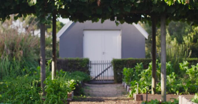 Camera is moving forward along gravel path to frame small gray garden shed behind closed gate