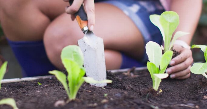 African American woman kneeling in raised bed wearing shorts, inserting trowel, planting seedlings