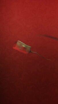 Vibrio Infection Bacteria Swimming in Bloodstream