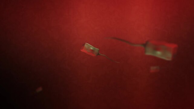 Vibrio Infection Bacteria Swimming in Bloodstream