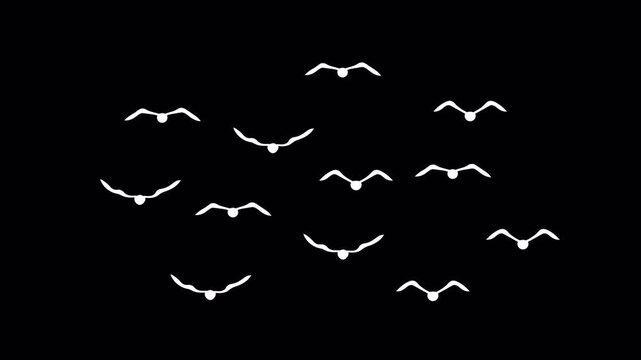 Beautiful **White Doves Flying** Flock Overlay with **Alpha Channel** Loop 4K