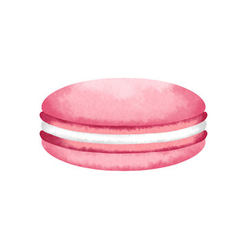 Watercolor Pink French Macaron Isolated on White Background