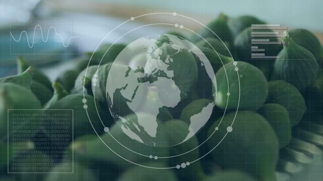 Sequence start showing figs on metal tray while food tech globe HUD rotating growing for designers