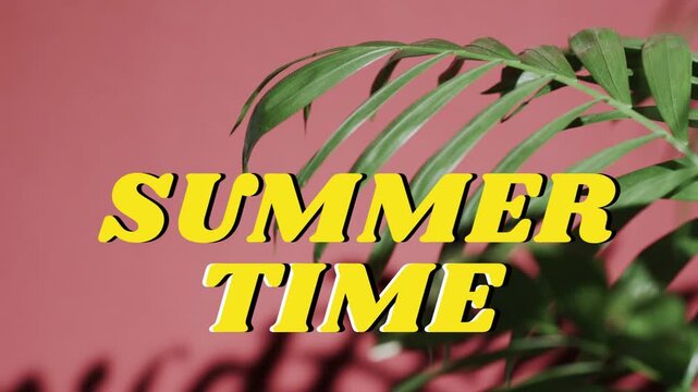 SUMMER TIME staying centered on pink wall as palm fronds shifting and casting shadows for marketing