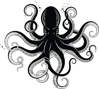 Black octopus illustration with cephalopod underwater creature tentacles wildlife illustration silhouette