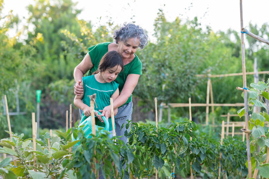 Grandmother and granddaughter bonding while watering vegetable garden plants