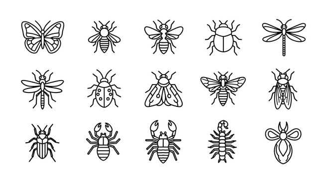 Collection of Diverse Insect and Arthropod Line Art Illustrations.