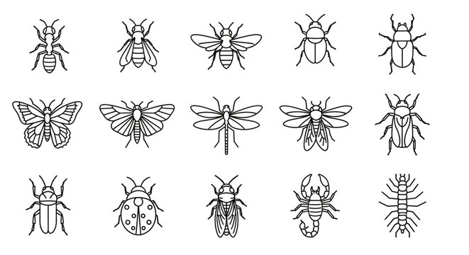 Collection of various insect line art illustrations.