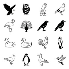 Obraz premium Diverse collection of bird species in black and white line art style.