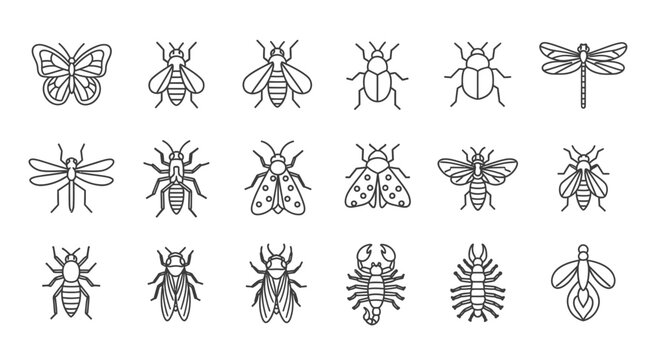 Diverse Collection of Insect Line Art Icons on White Background.