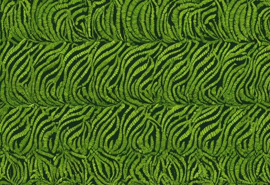 Organic green pattern texture resembling fern leaves
