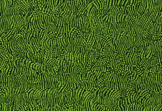 Organic green pattern texture resembling fern leaves
